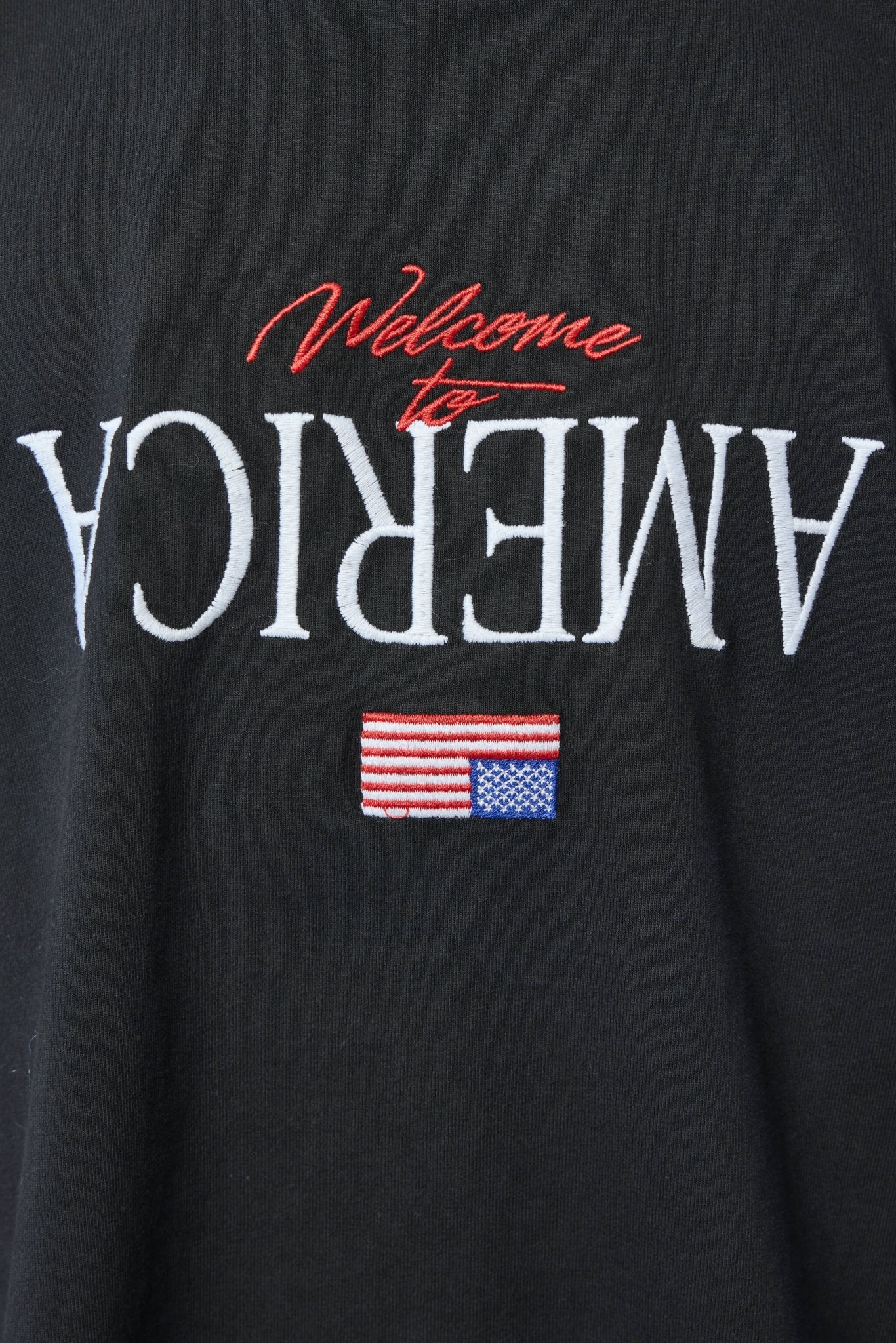 Welcome to America Buffalo T-shirt - Image 4