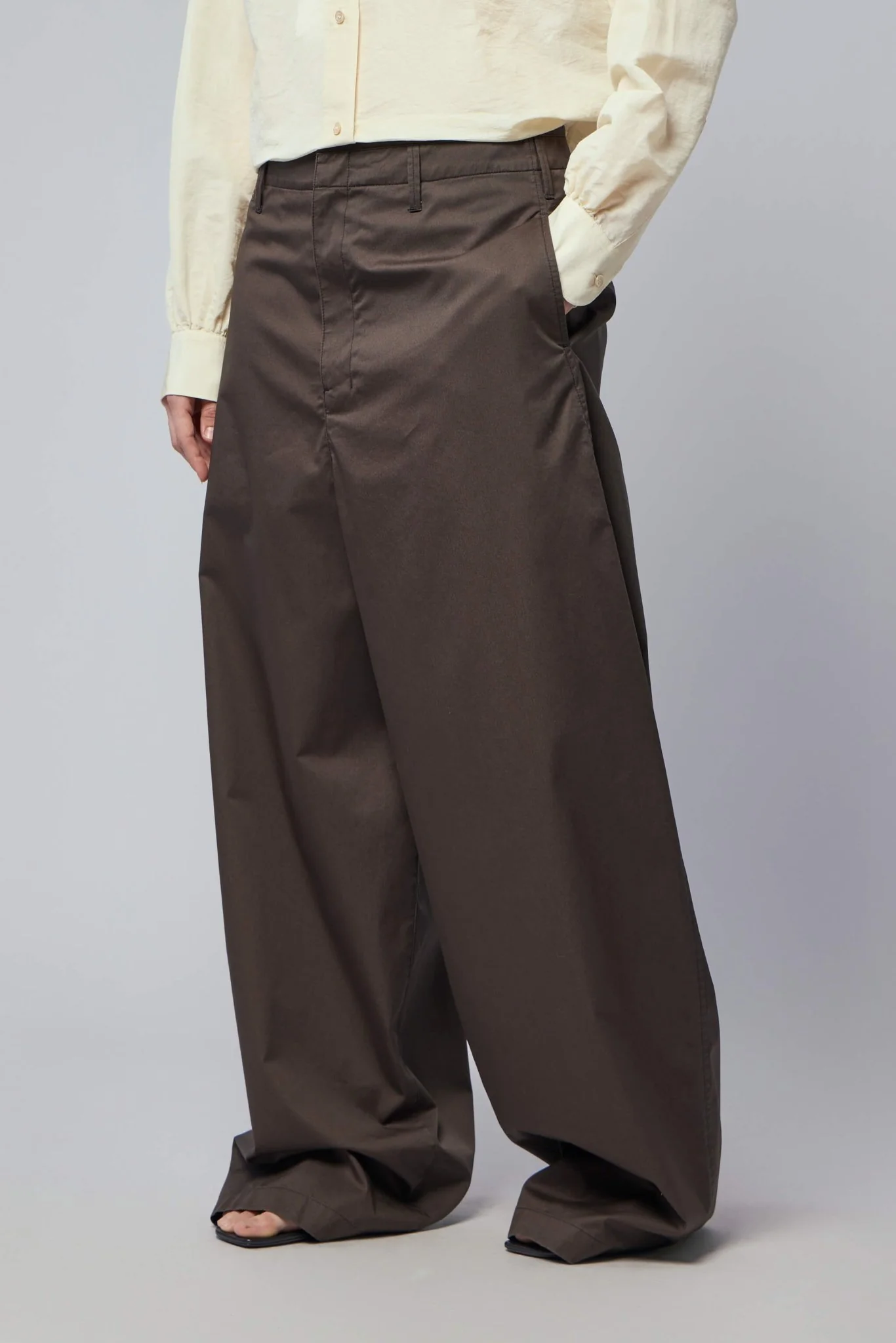 Large Chino - Image 3