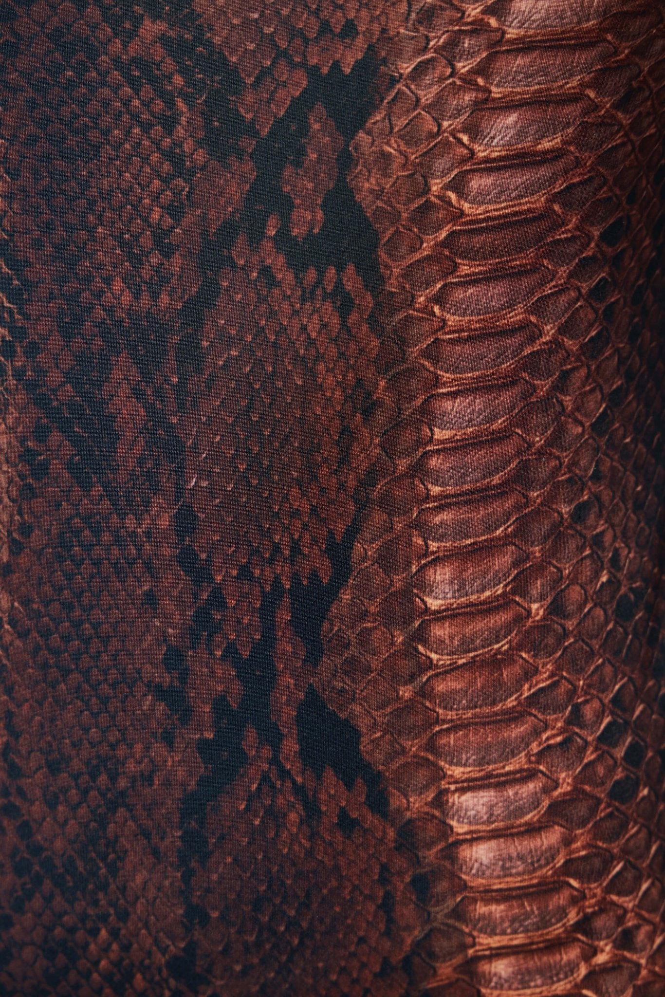 Printed Python Swimsuit - Image 5