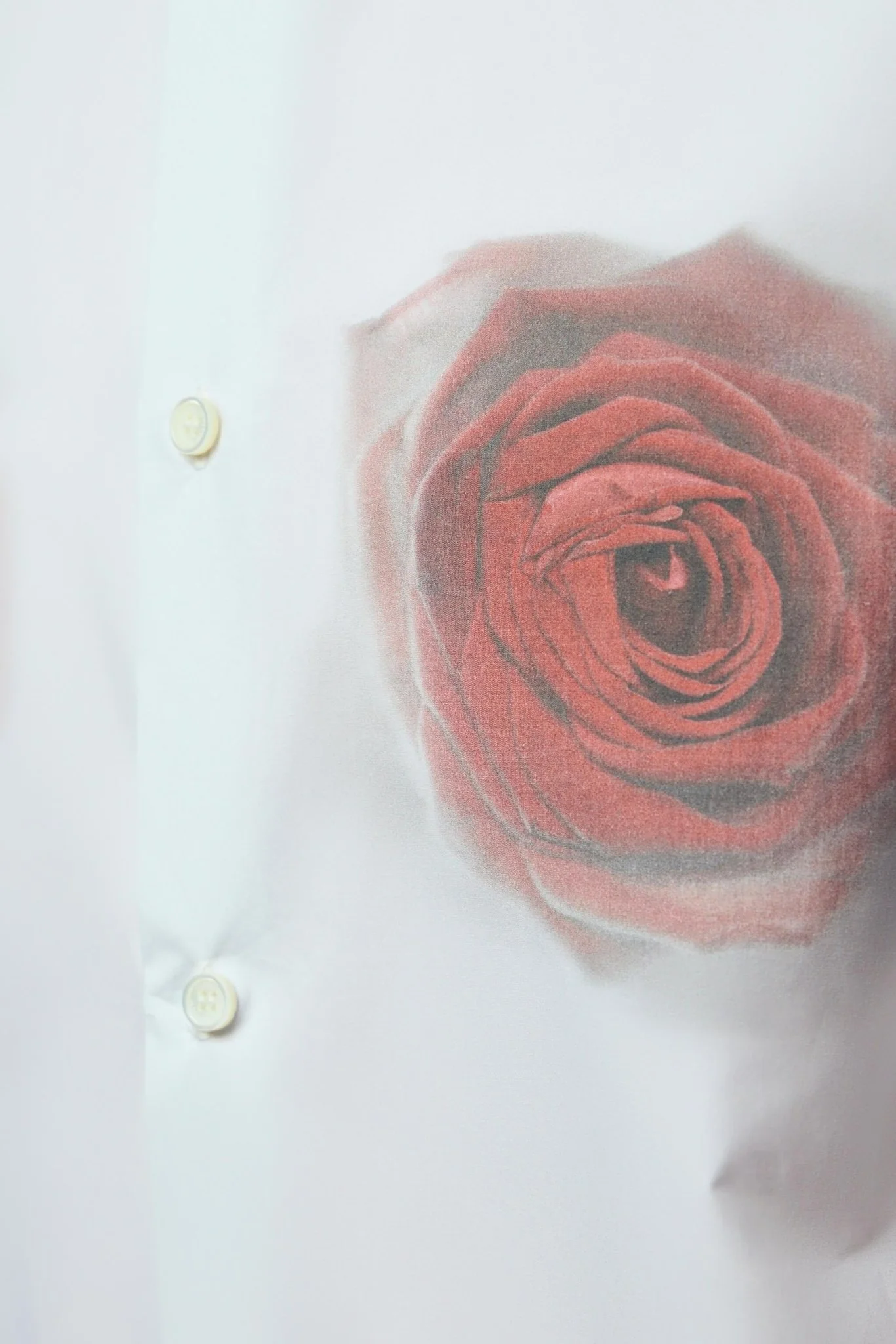 Unisex Shirt Printed Blurry Roses - Image 5